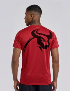 Tee-Shirt Training 2