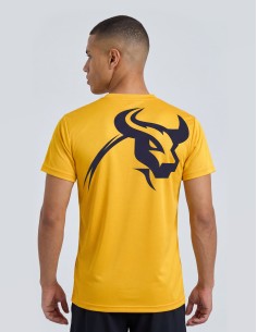 Tee-Shirt Training 2
