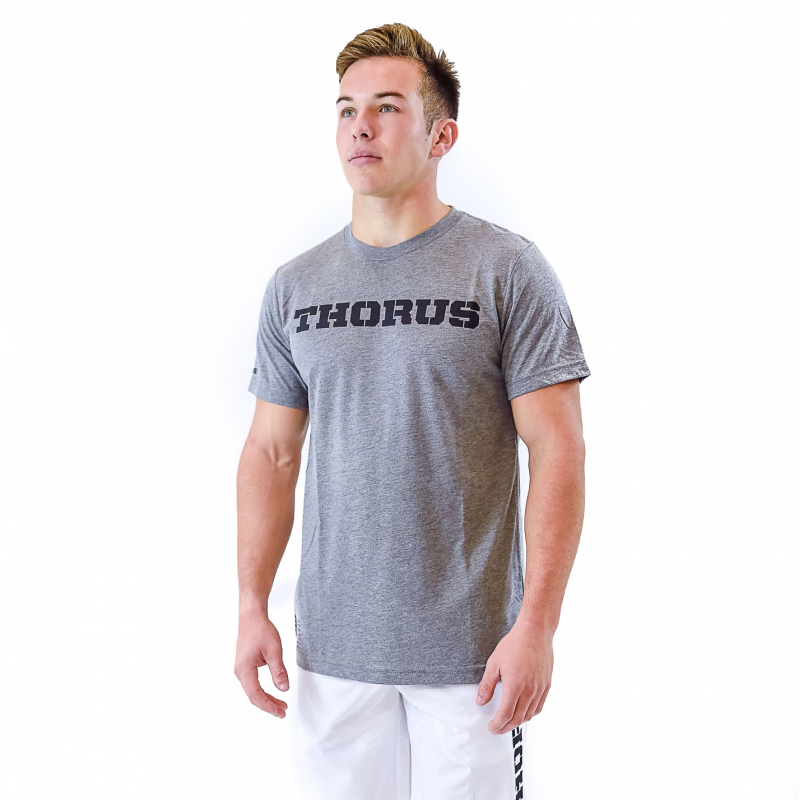 T SHIRT GRIS CLASSIC MEN T SHIRT GRIS CLASSIC MEN