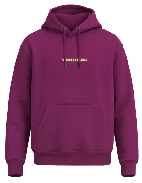 Hoodie Blaze