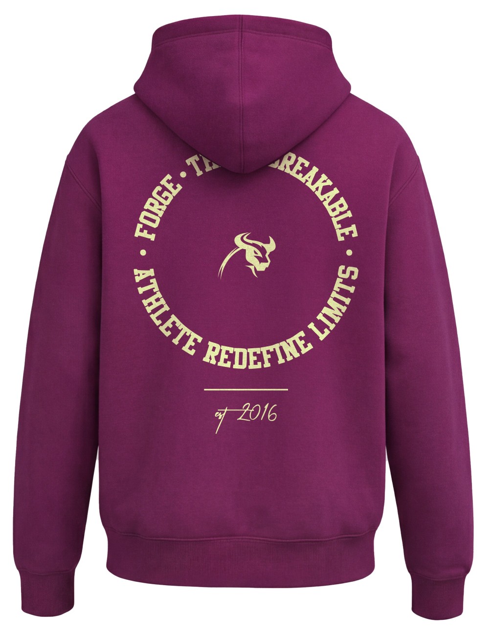 Hoodie Blaze 2