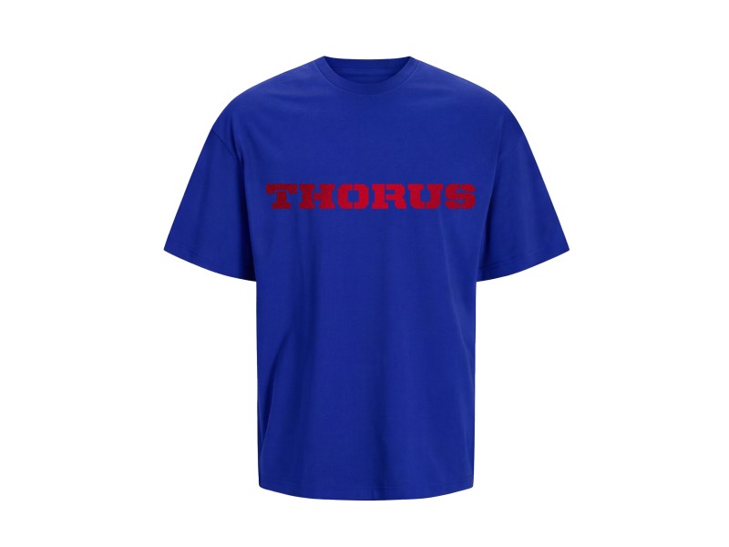 Tee-shirt Oversize Essential