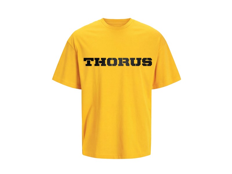 Tee-shirt Oversize Essential