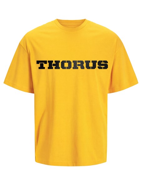 Tee-shirt Oversize Essential