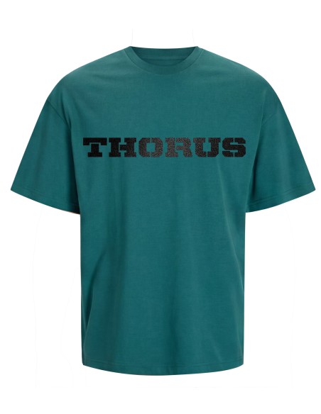 Tee-shirt Oversize Essential