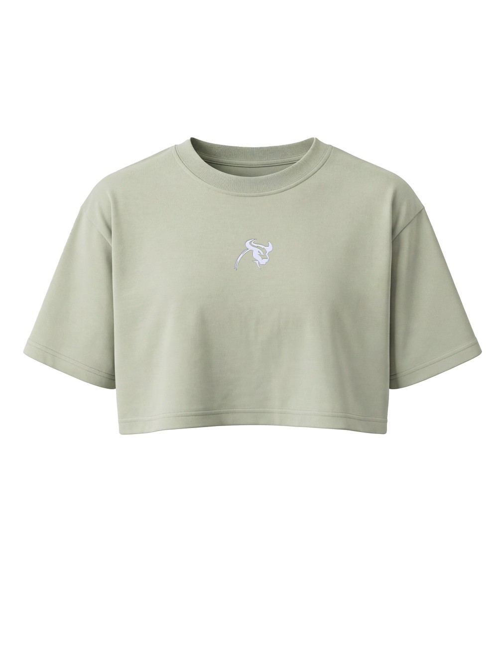 Solid Oversize Crop 2