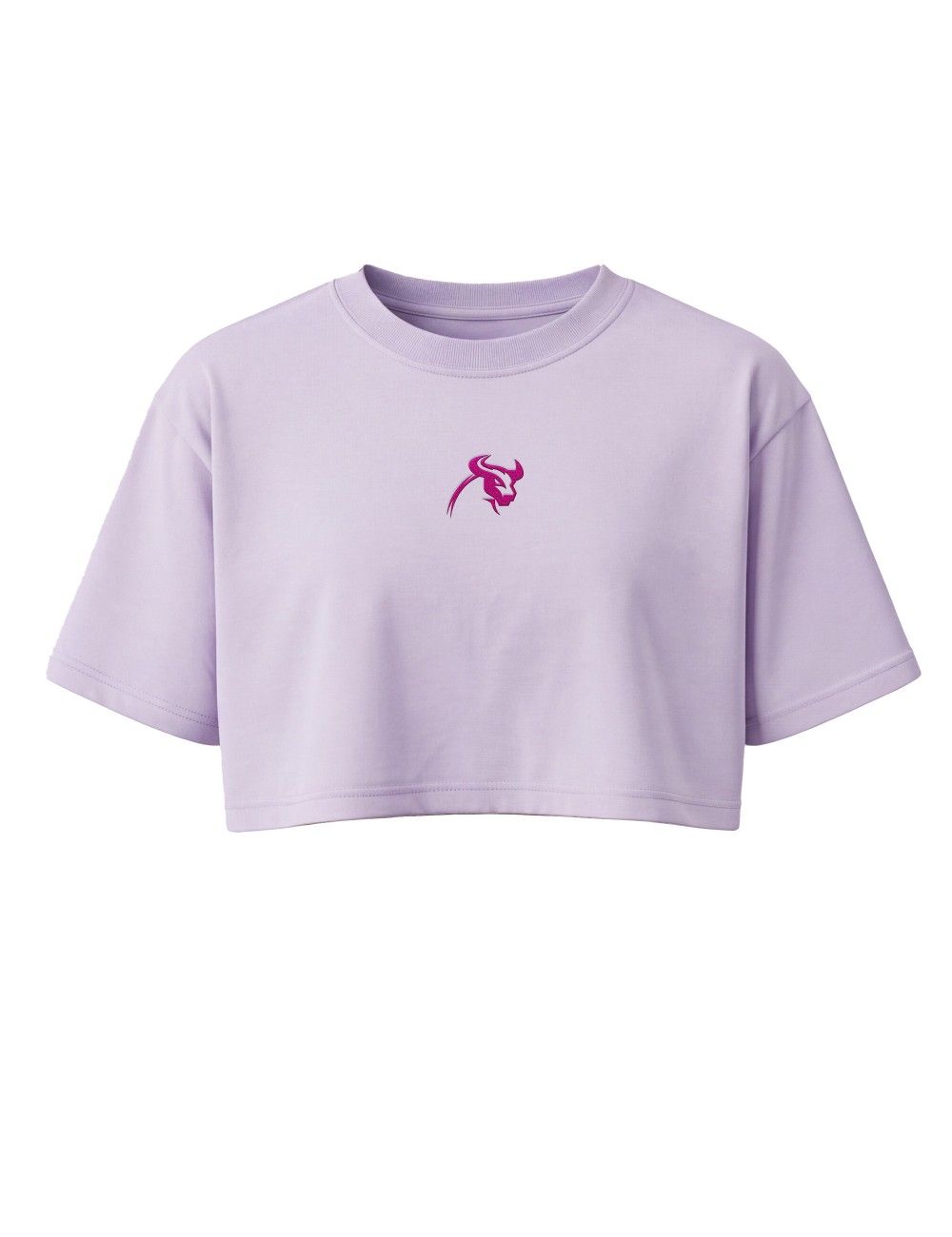 Solid Oversize Crop 2