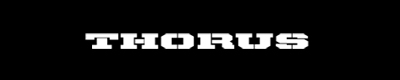 Thorus wear